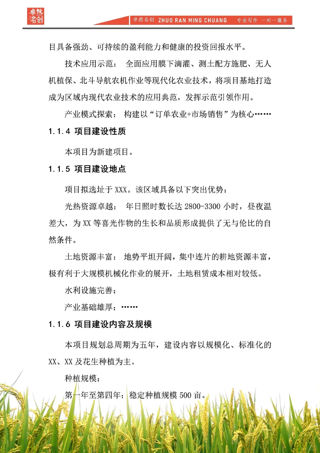 现代农业种植可行性报告，给资方看就这样写