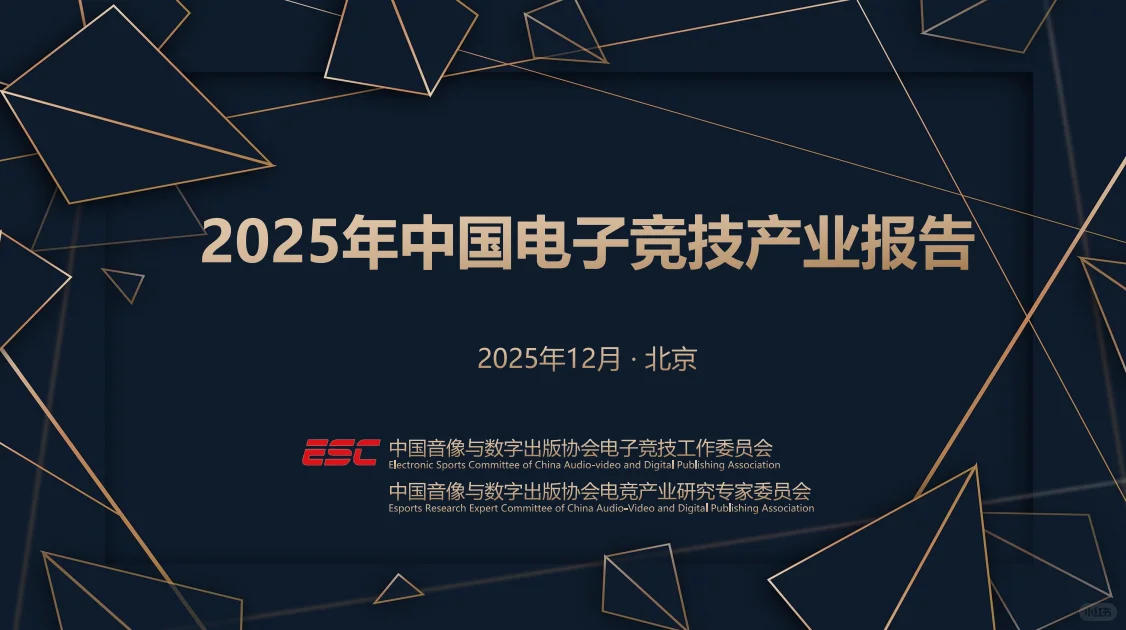 2025年中国电竞市场总结