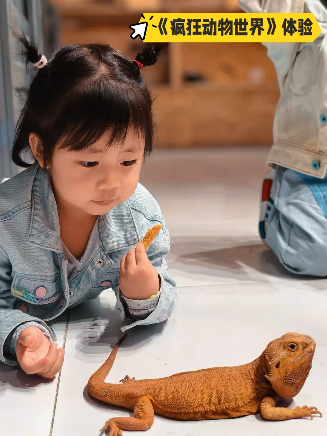 北京遛娃｜昆虫迷市集这不就来了！