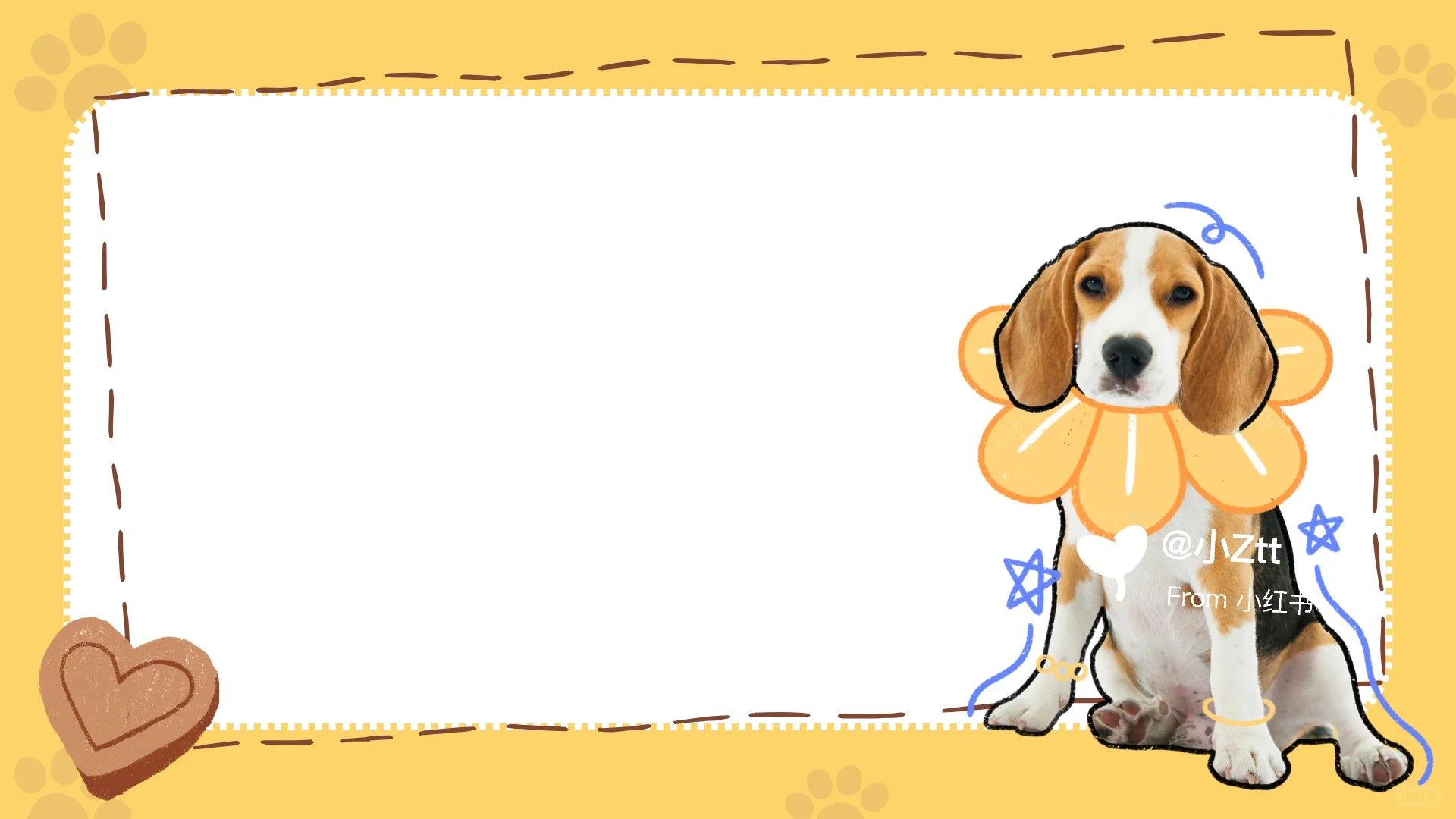 PPT背景图｜宠物来袭｜可爱｜宠物行业报告｜