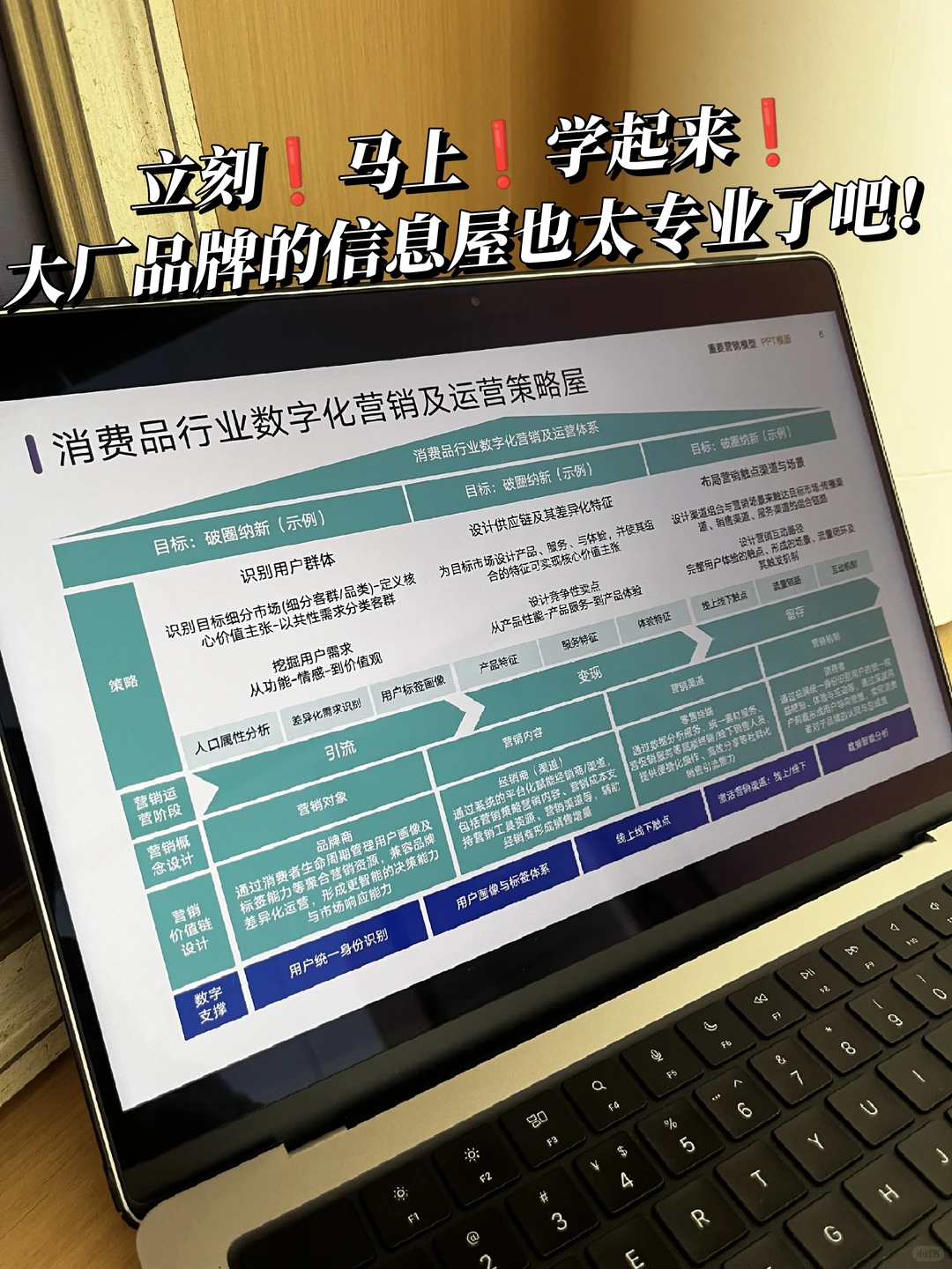 马上给我学❗大厂品牌信息屋也太清晰了❗