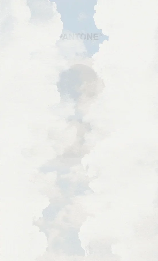 最新发布|Pantone 2026年度色