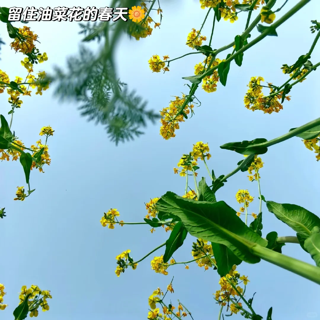 X银行公司部一季度工作总结，直接抄即可!