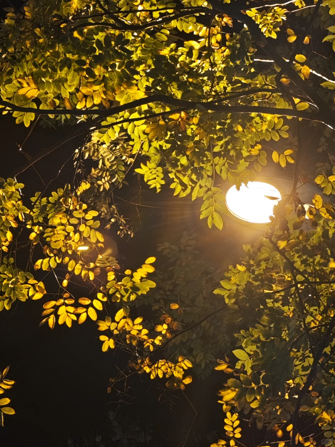 我们都被行业的变动裹挟着