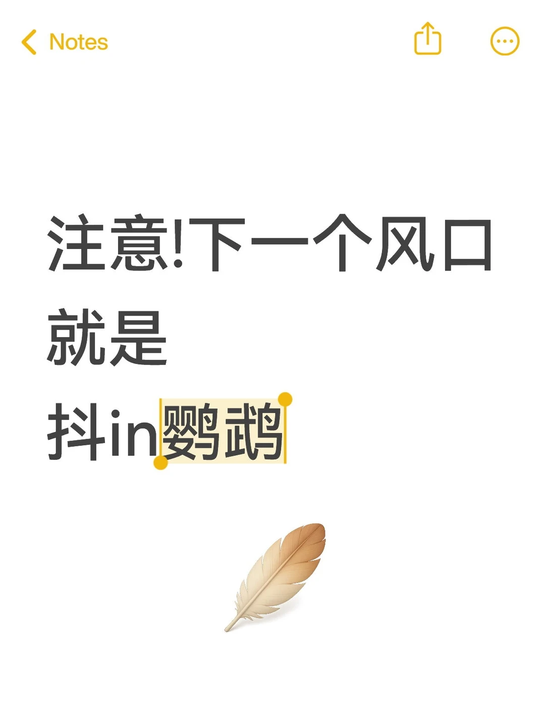 注意!下一个风口就是抖in鹦鹉