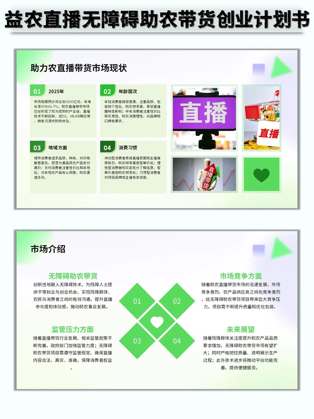益农直播无障碍助农带货创业计划书word➕PP