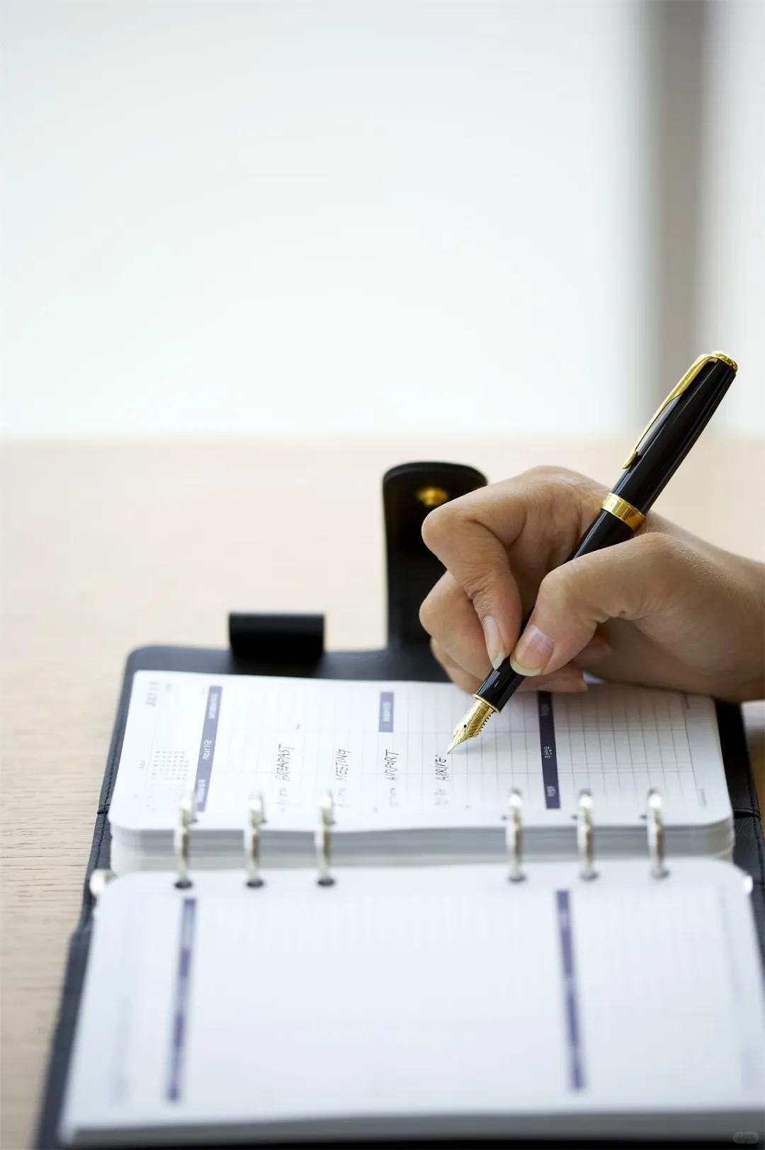 发展战略为引领，探索企业持续成长之路