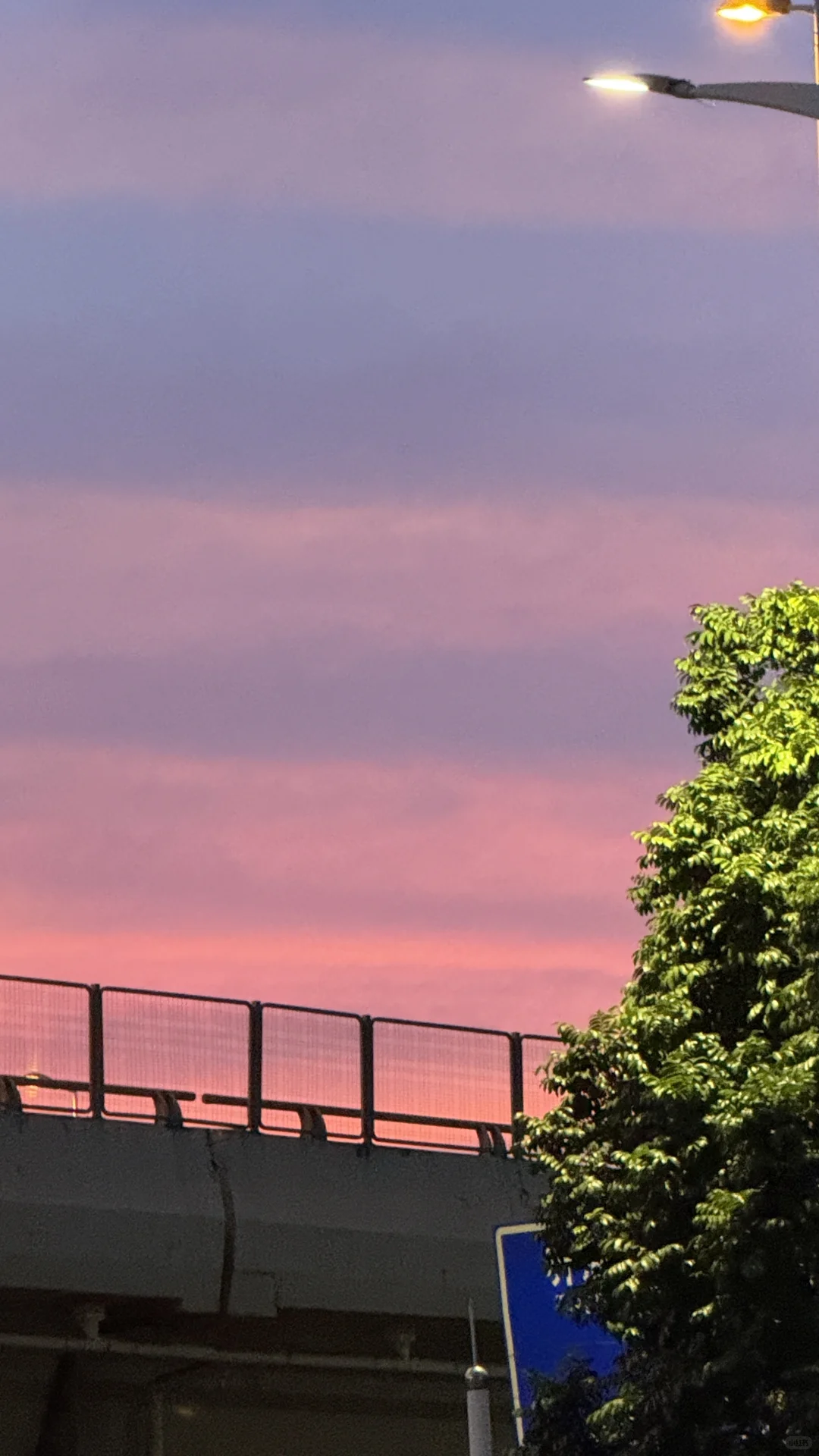 在知识付费公司发光：获客文化治愈我的职场