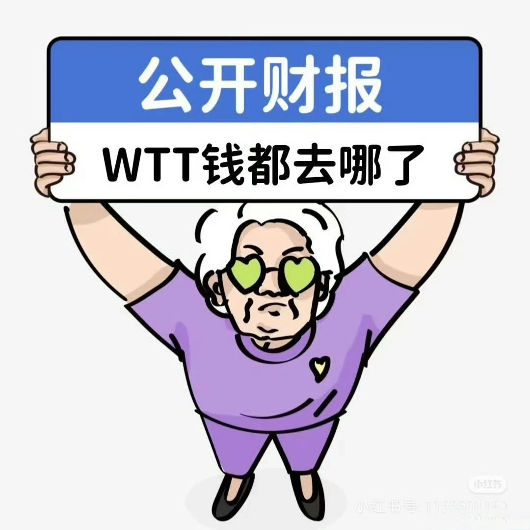2024年WTT财报公布了没？