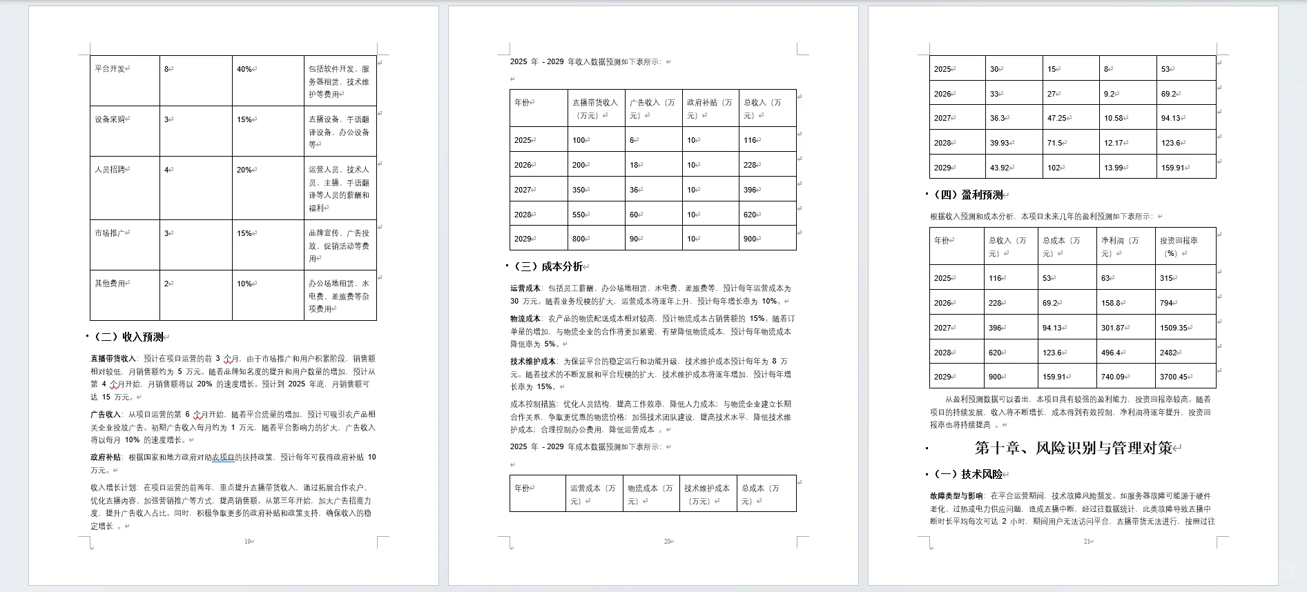 益农直播无障碍助农带货创业计划书word➕PP