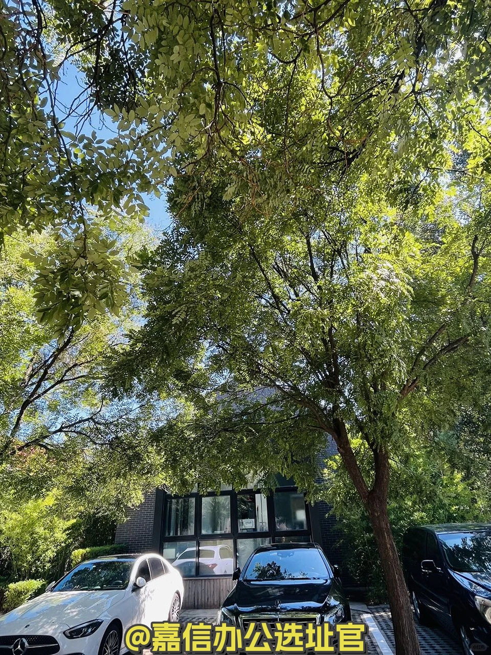 百子湾广园产业园 独栋院落 高挑空