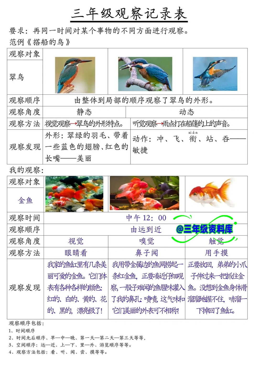 三上语文第五单元观察记录表来啦??