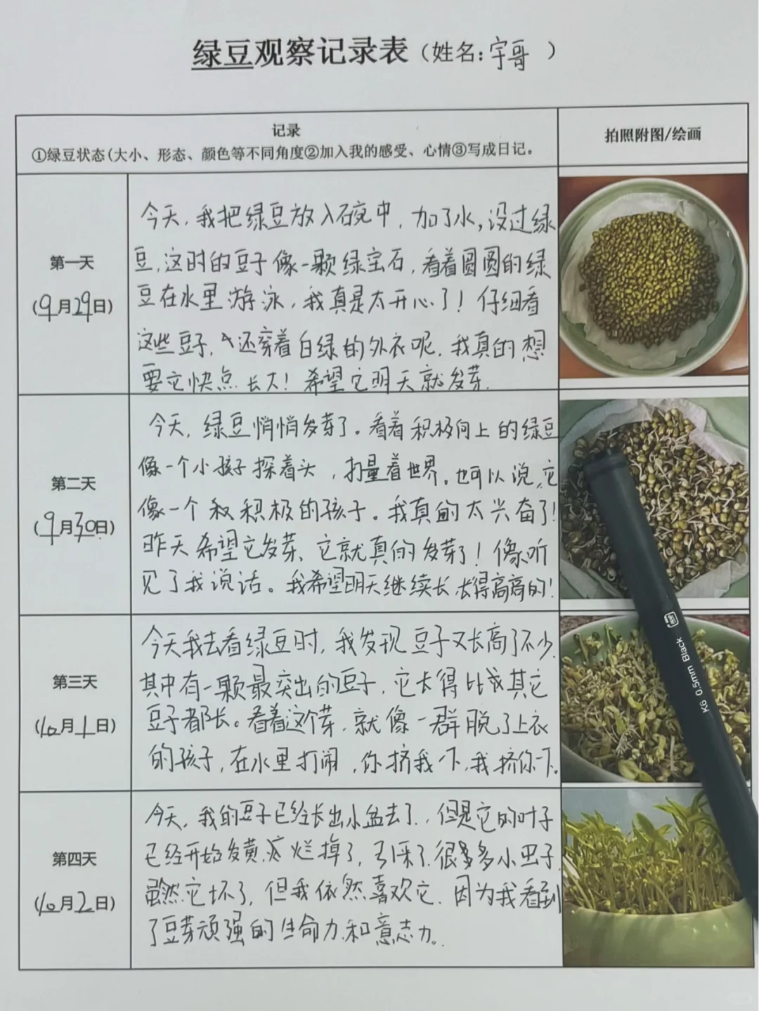 听说国庆全国的娃都在种豆子！附观察记录表