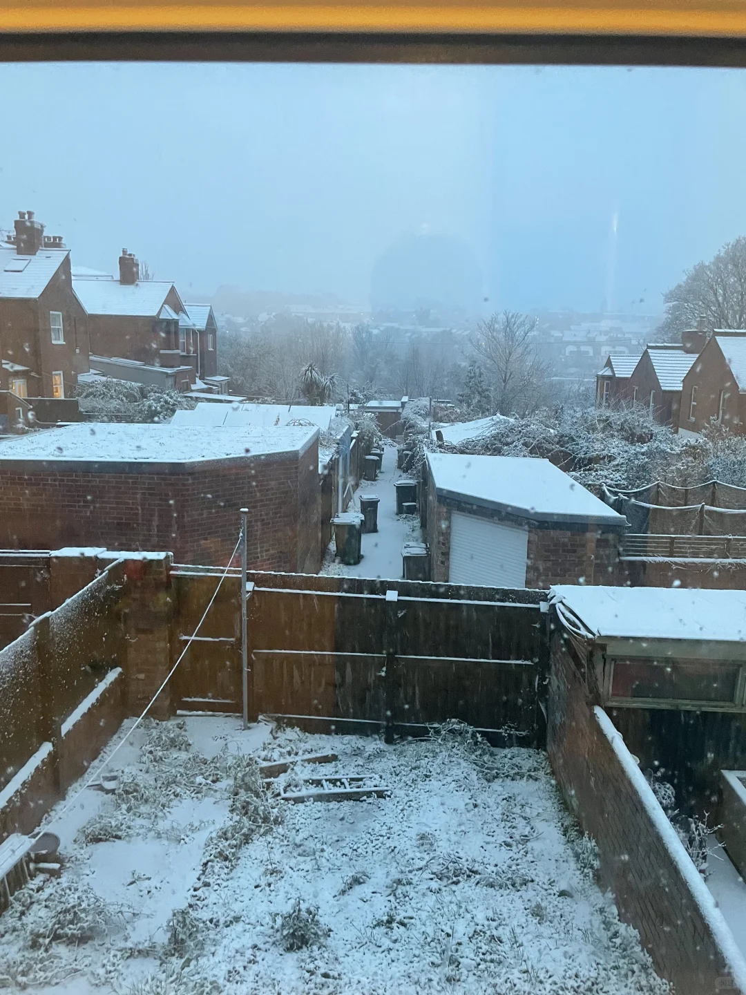 甲骨文财报怎么走？