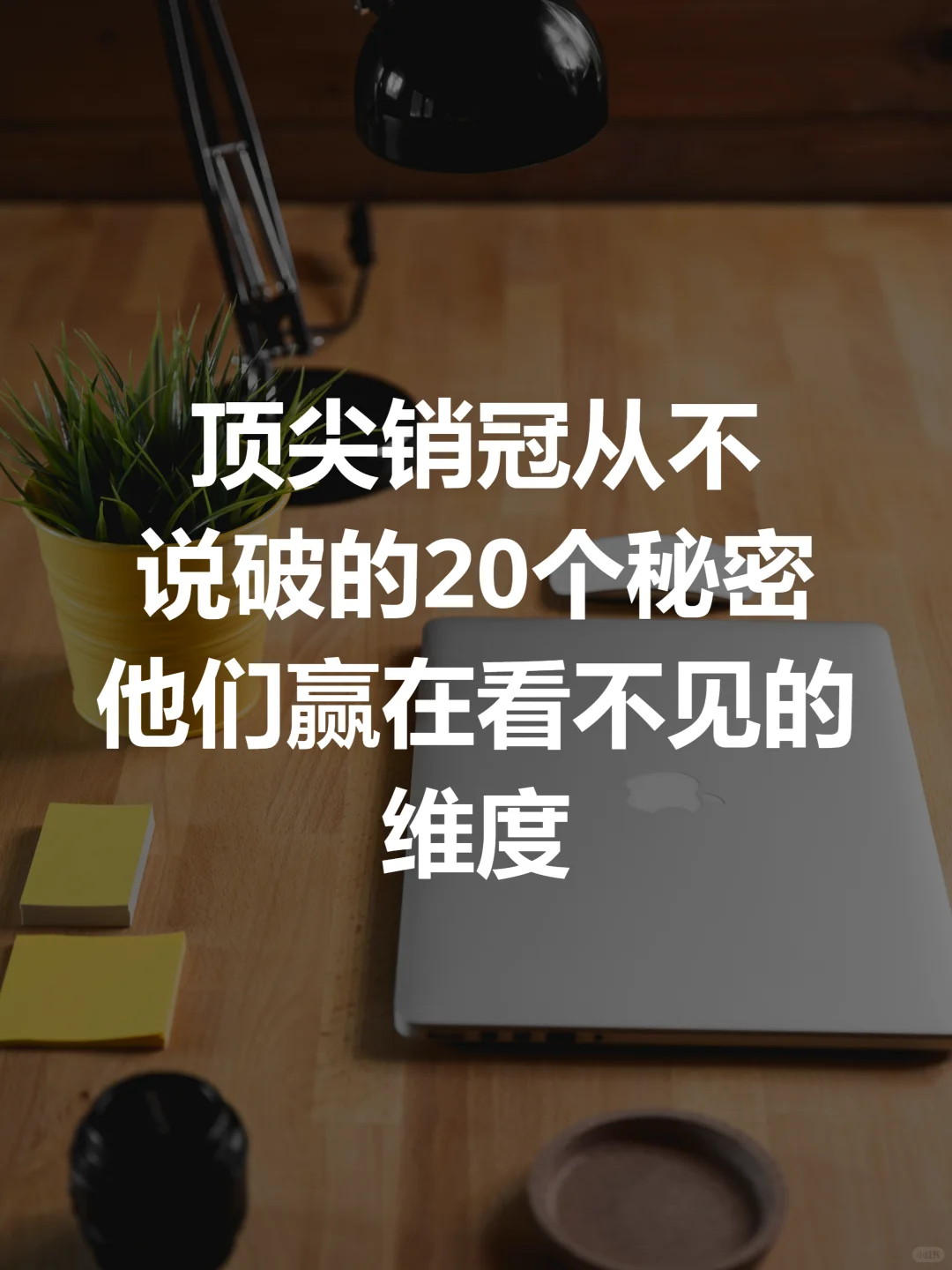 顶尖销冠不说破20个秘密：赢在看不见的维度