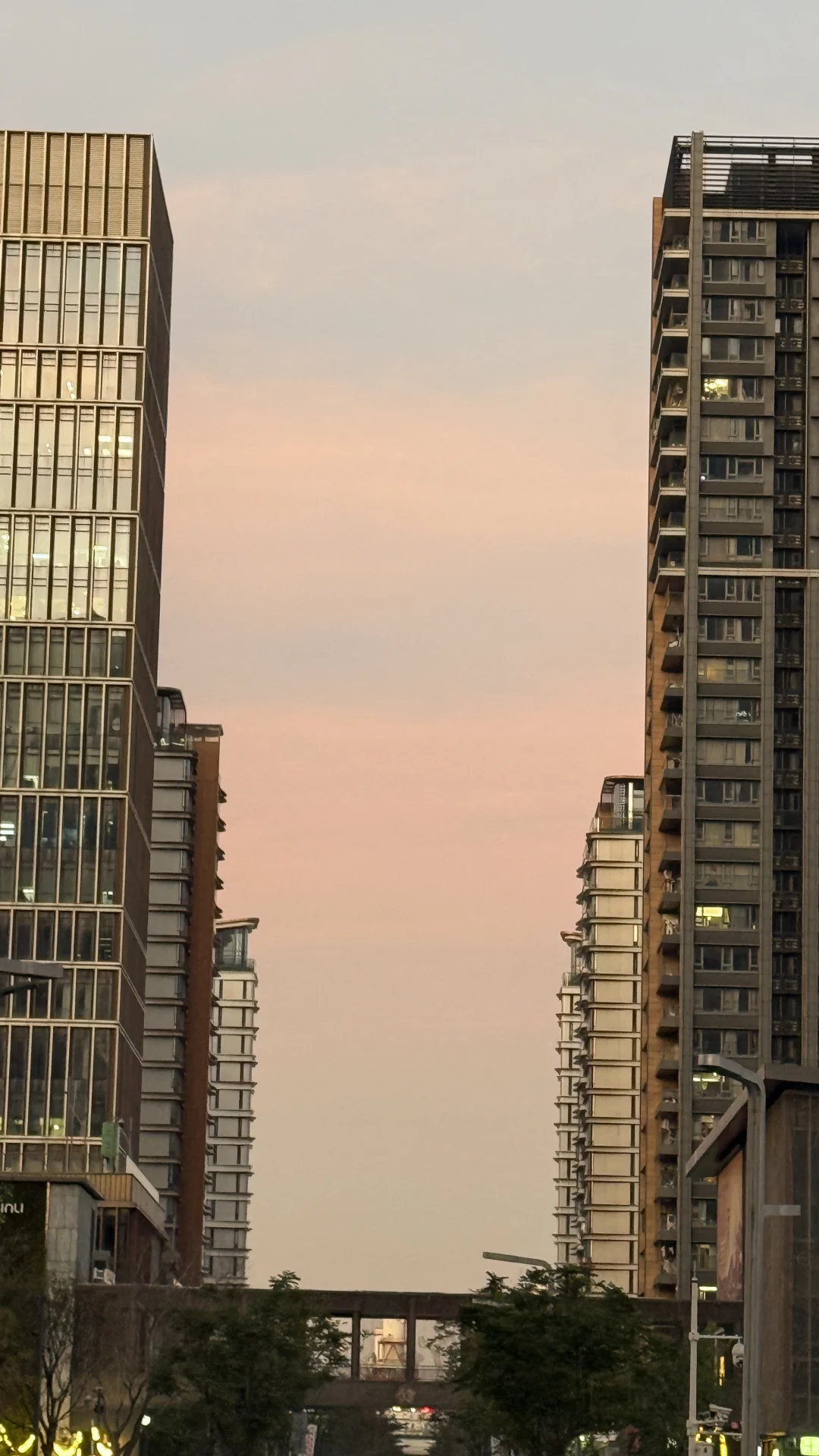 在知识付费公司发光：获客文化治愈我的职场