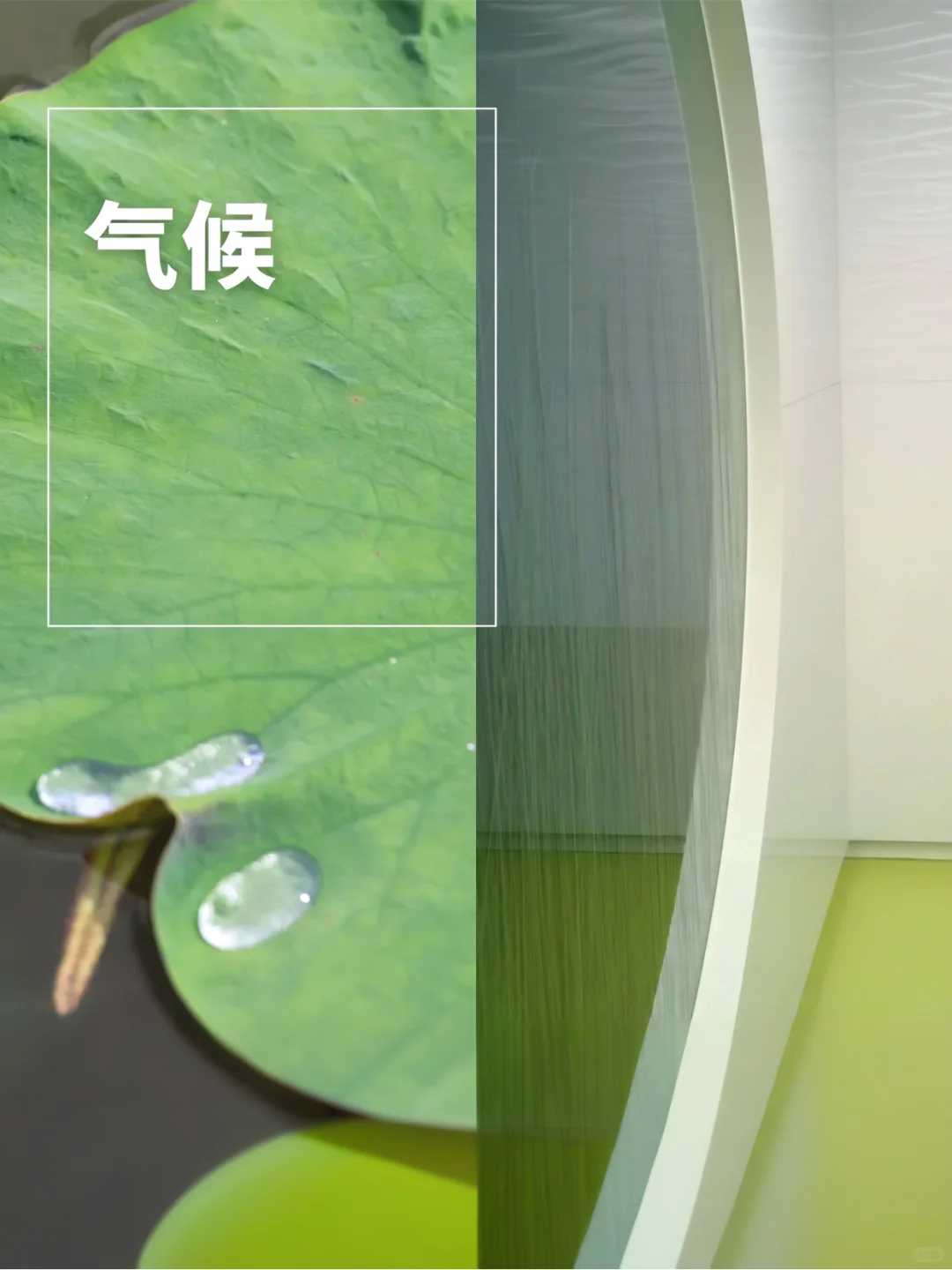 一份来自飞德莱的「2024年可持续发展」报告