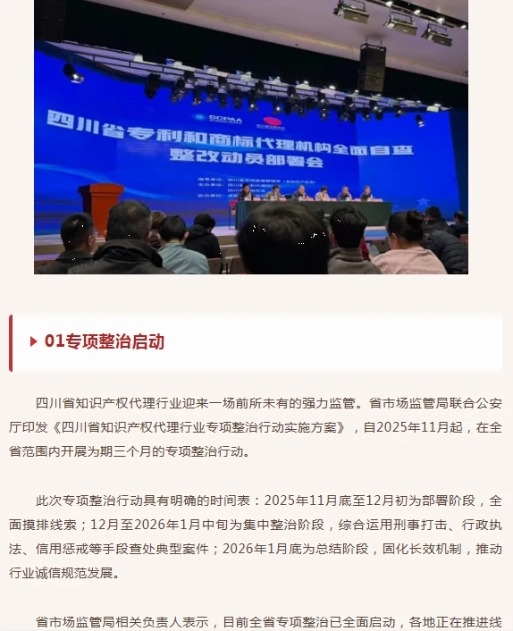 四川开展代理行业专项整治
