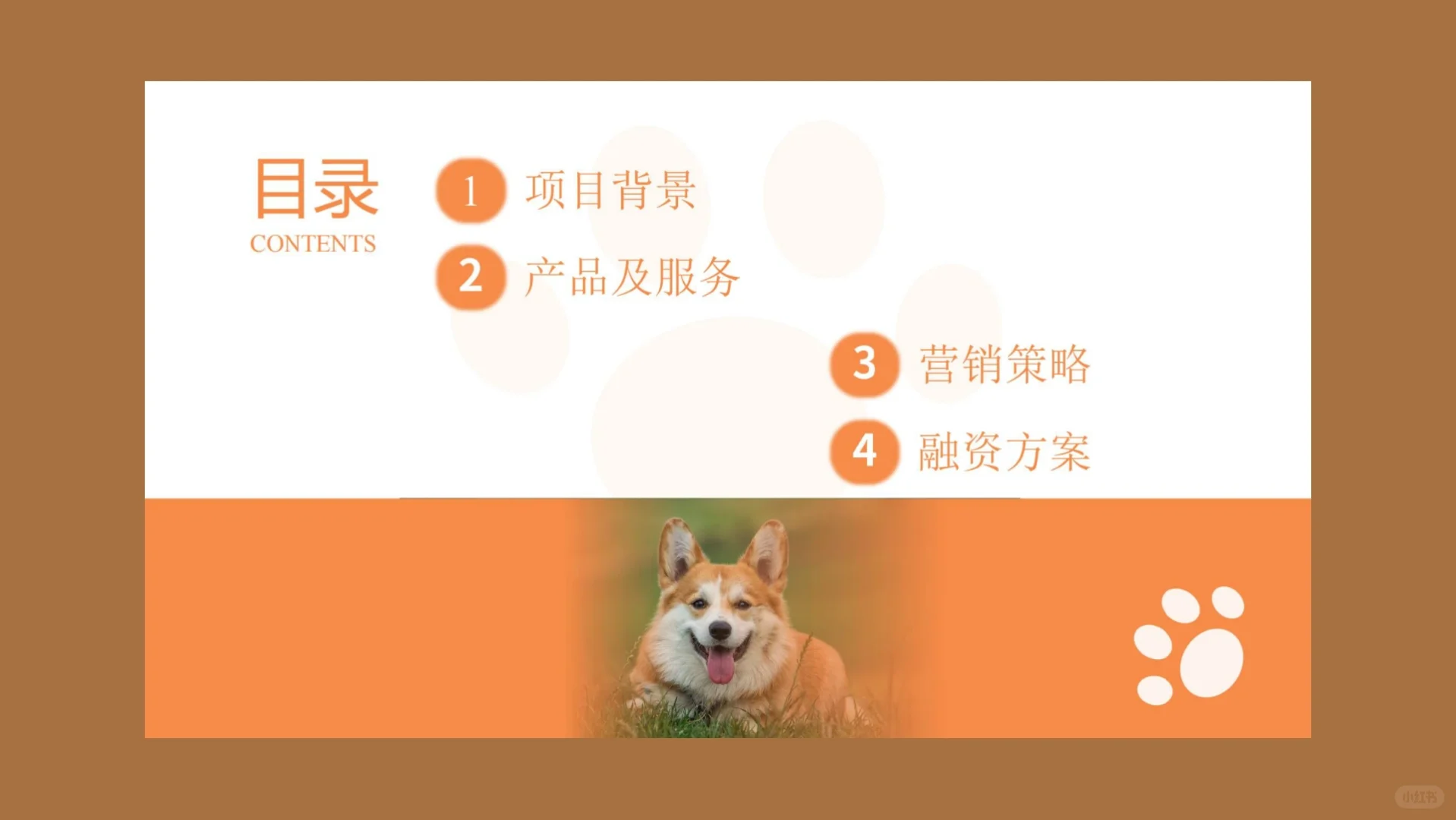 一个宠物行业创业项目计划书～