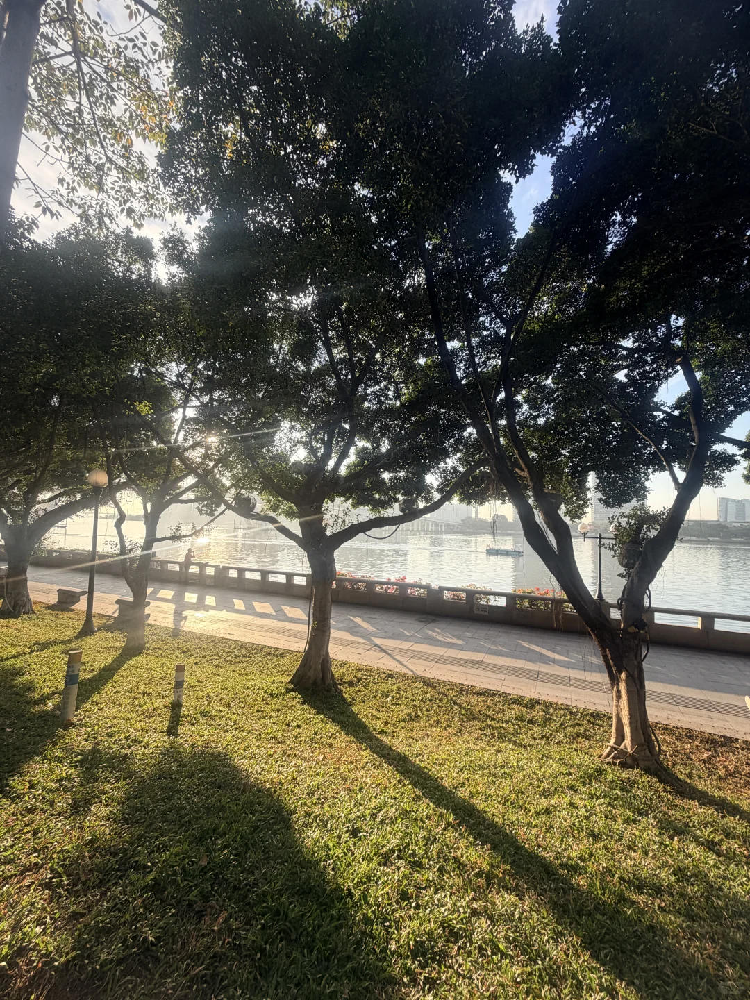 穿越历史聊经济