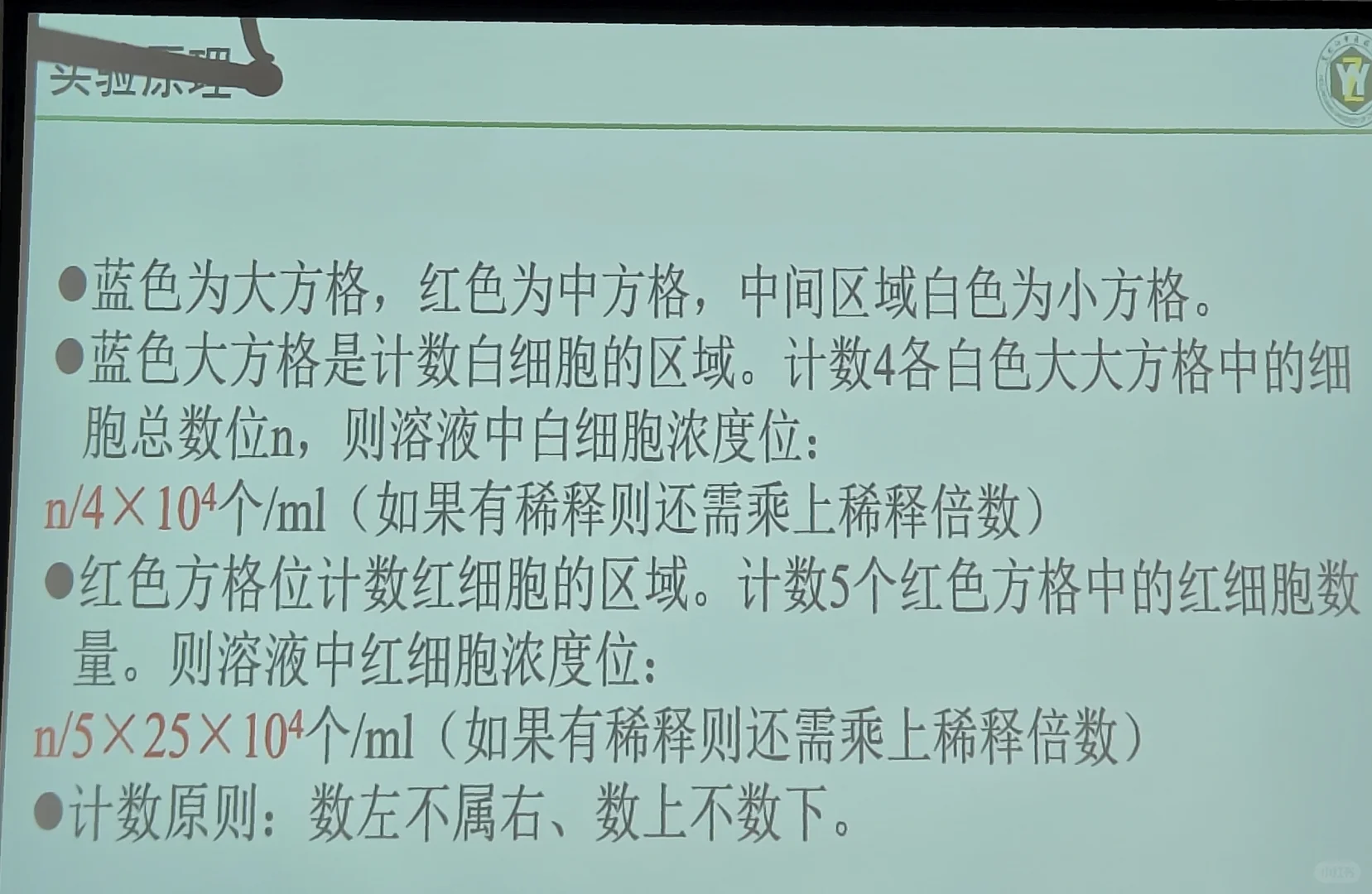 酵母菌的形态观察及死活细胞的鉴定实验报告