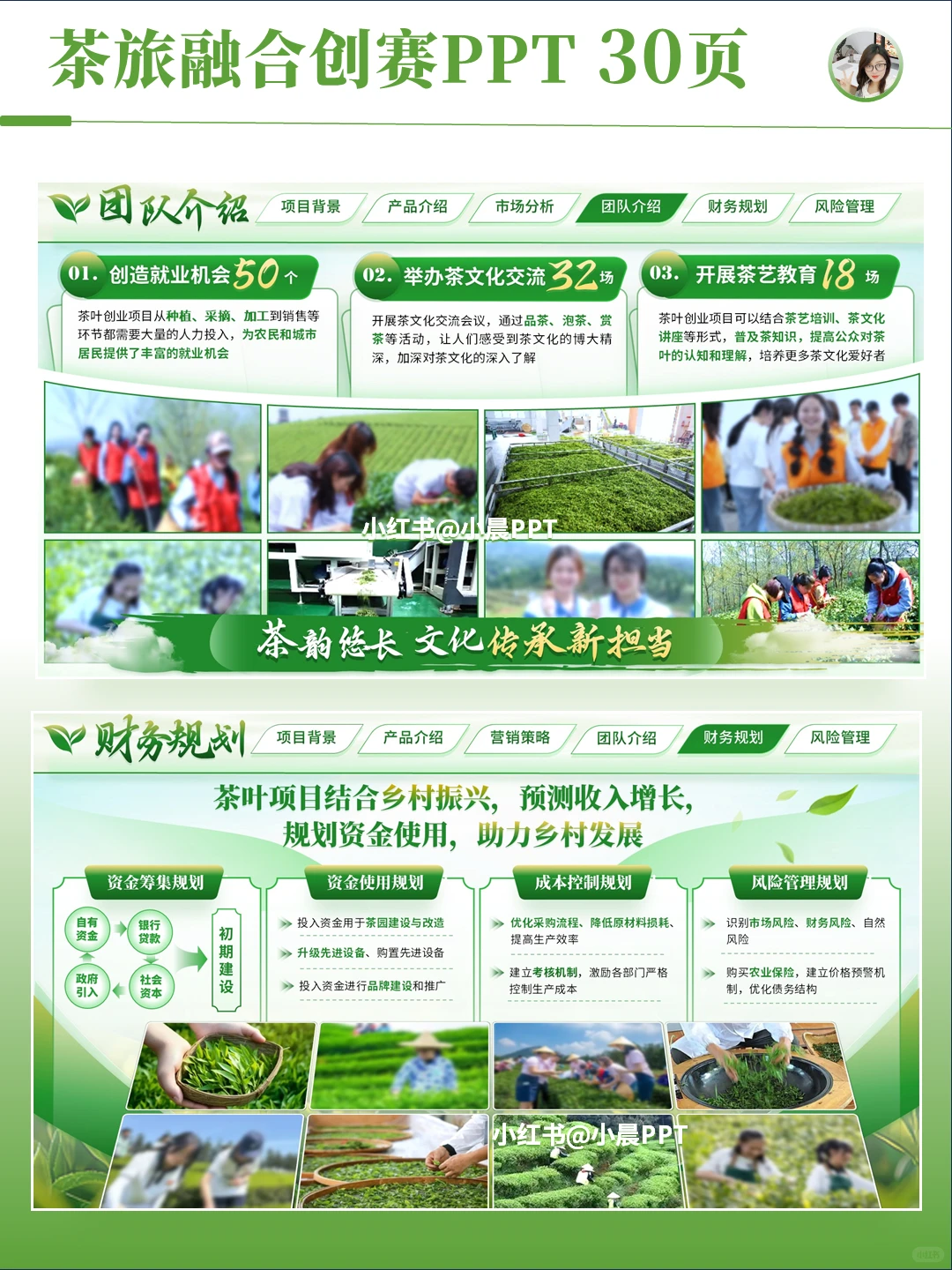 高级感小清新绿色茶叶项目创赛PPT设计案例