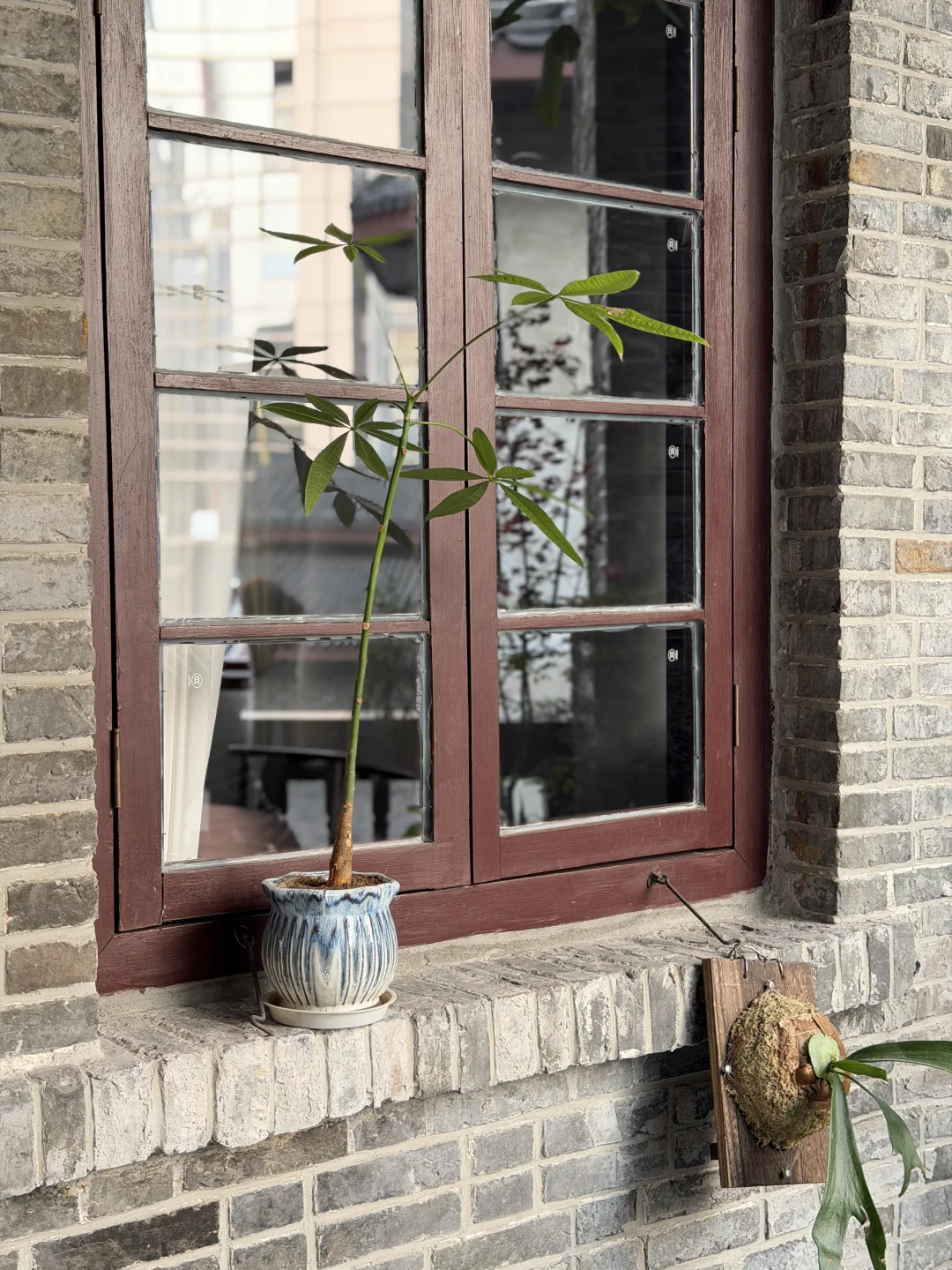 藏在鲁祖庙的“时空胶囊”：一杯精酿，一桌江湖