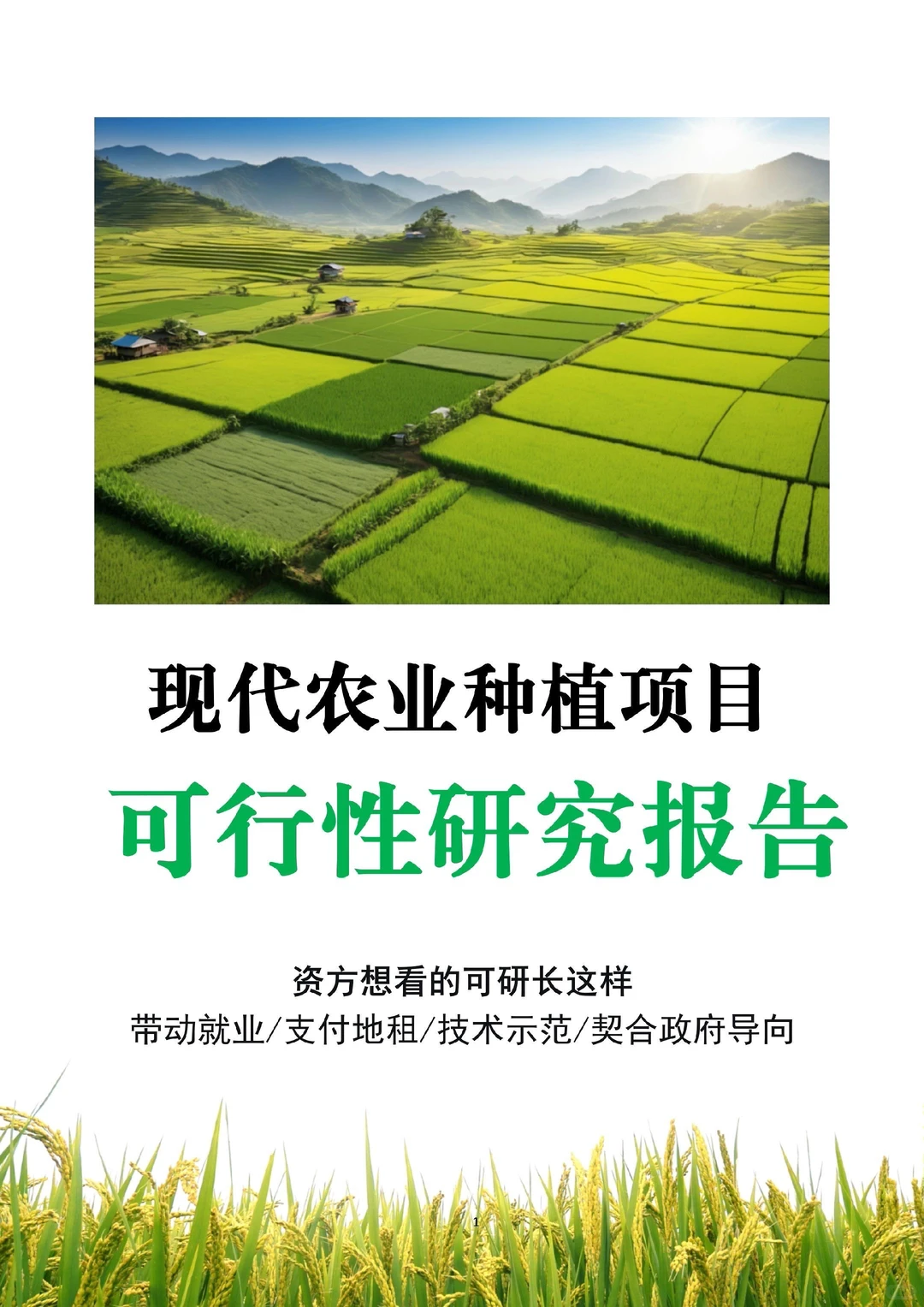 现代农业种植可行性报告，给资方看就这样写
