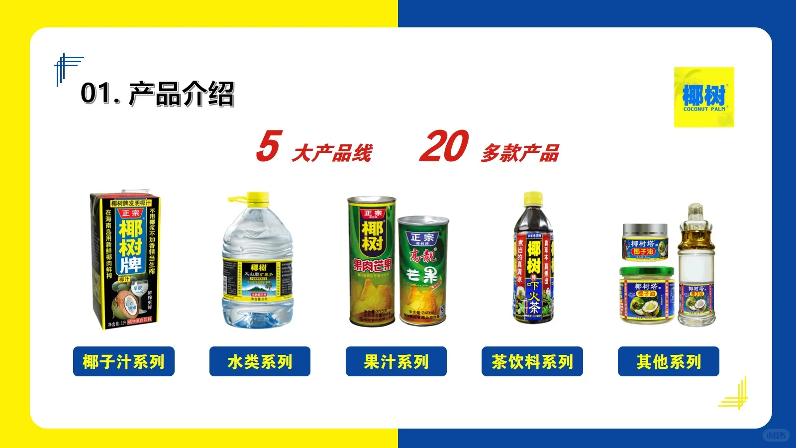 椰树集团营销分析20页