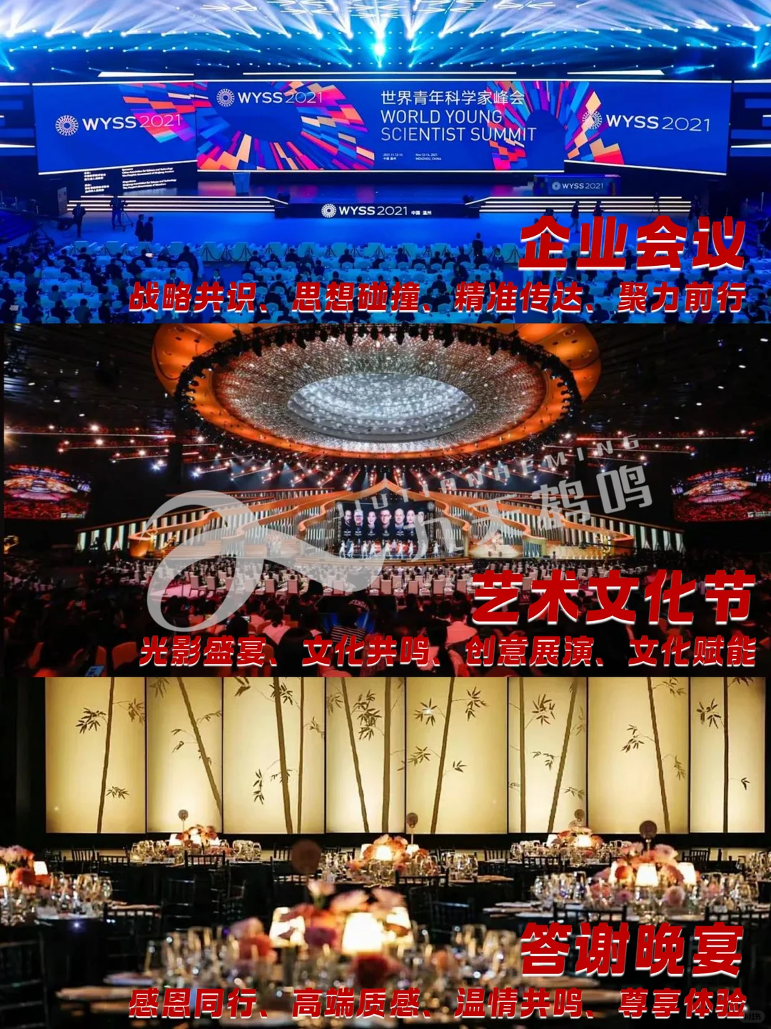 九天鹤鸣：让每一次品牌链接都闪耀价值！