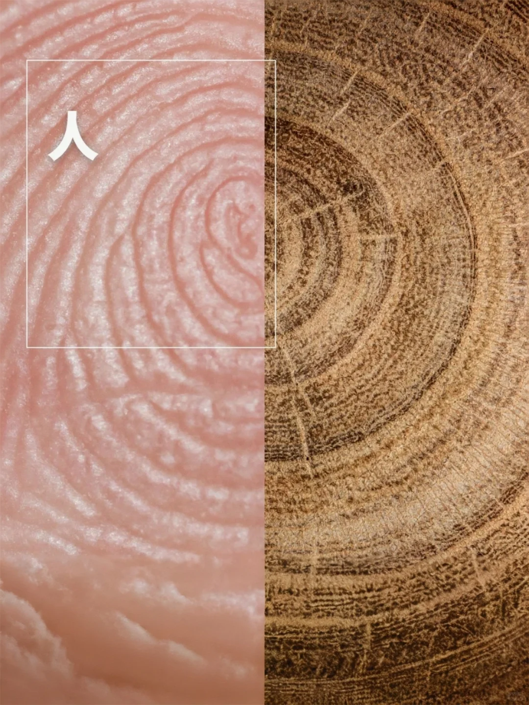 一份来自飞德莱的「2024年可持续发展」报告