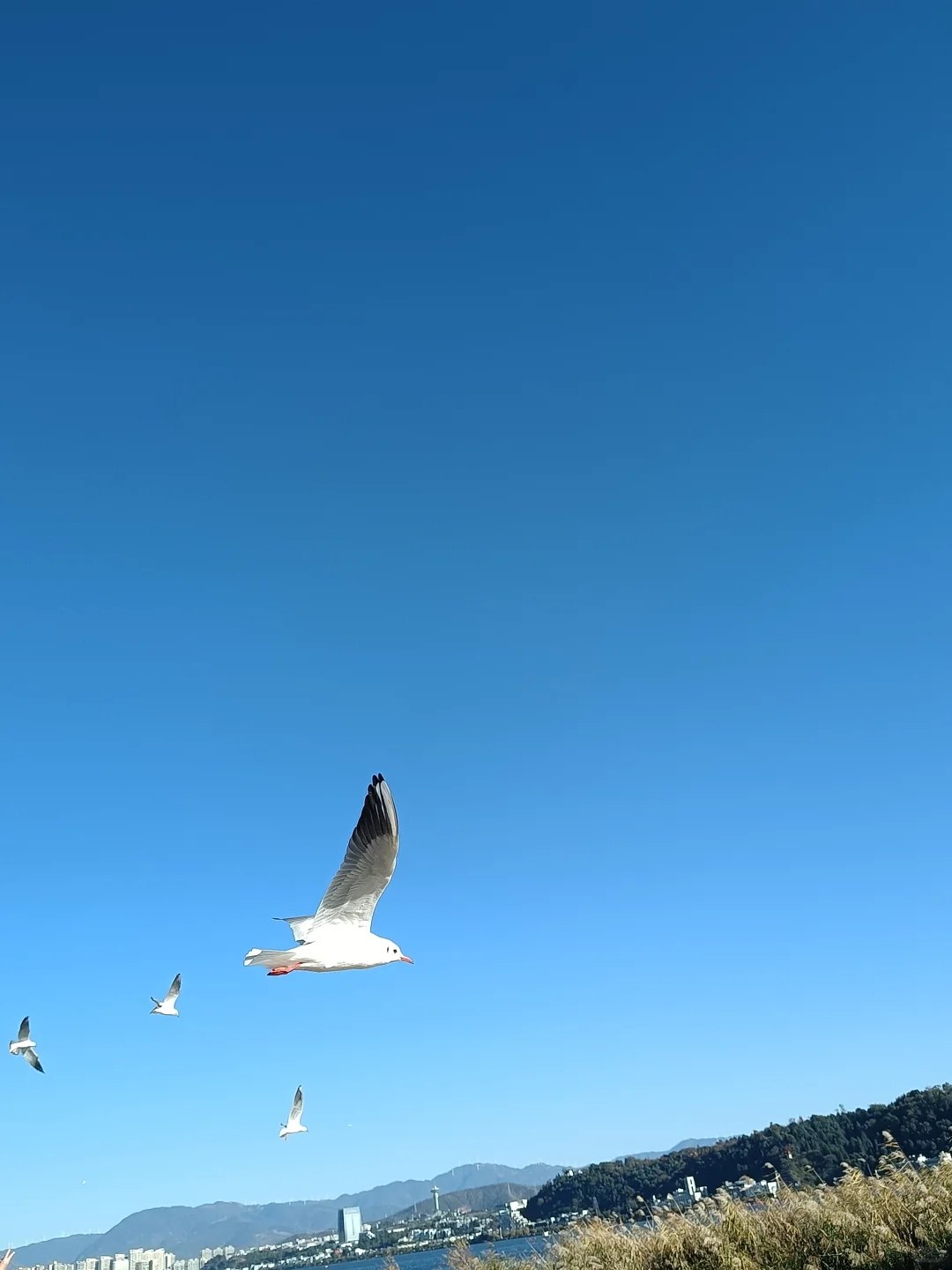 股市的时空位置20251217