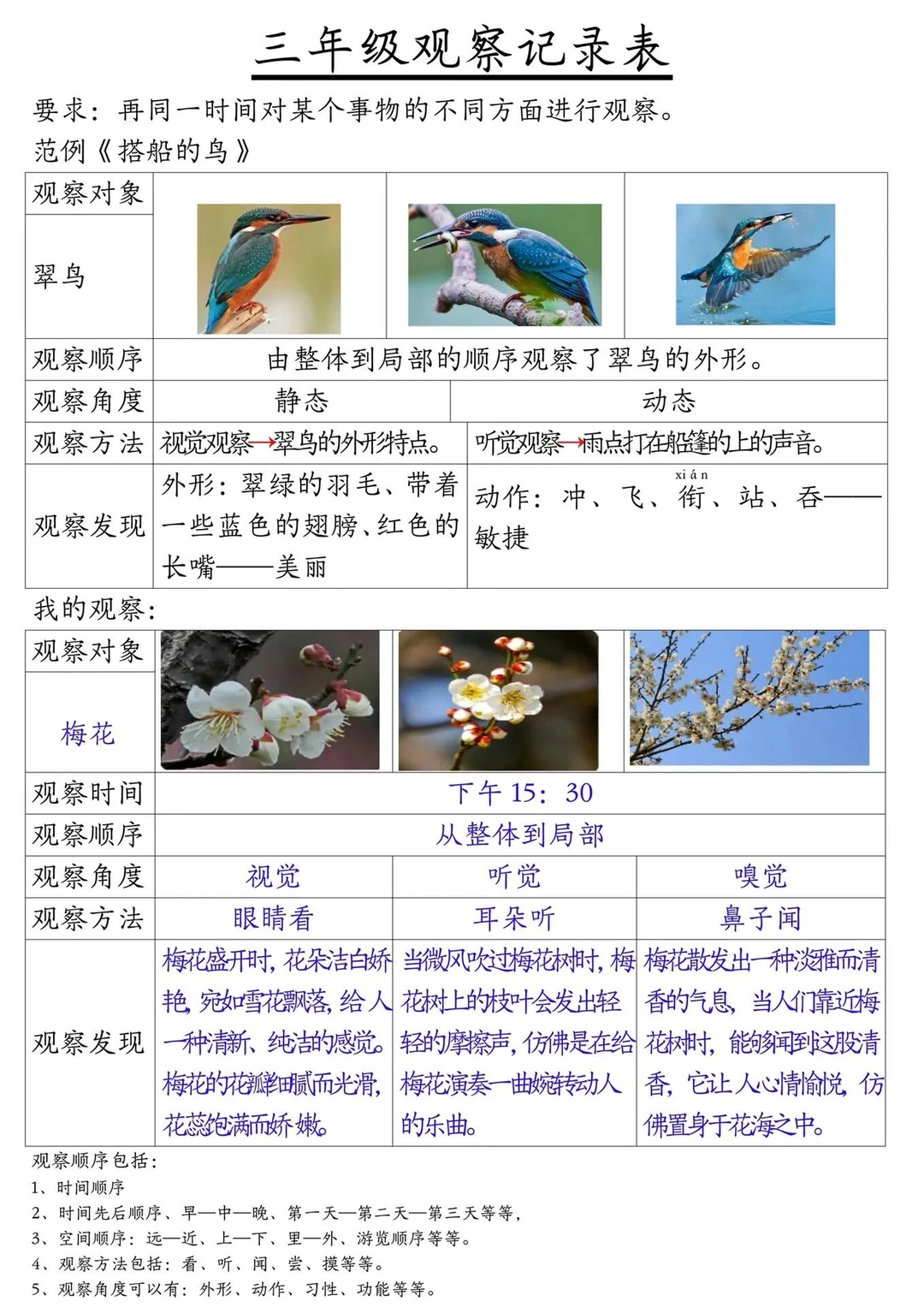 三上语文第五单元观察记录表来啦??