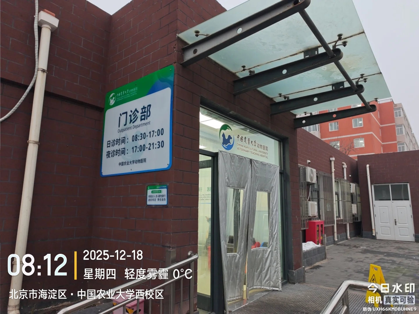 中国农业大学动物医院陪诊、代问诊、代办！