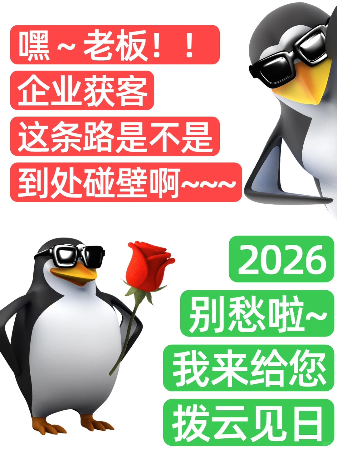 企业获客这条路❗我来给各位拨云见日☀️~