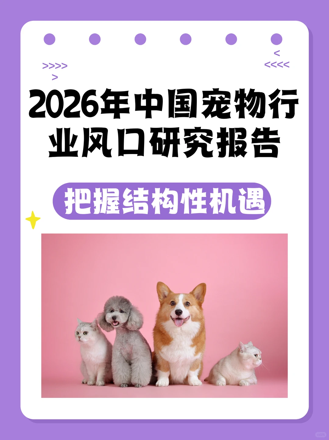 行业风口研究报告来了！