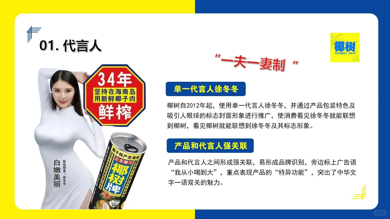 椰树集团营销分析20页