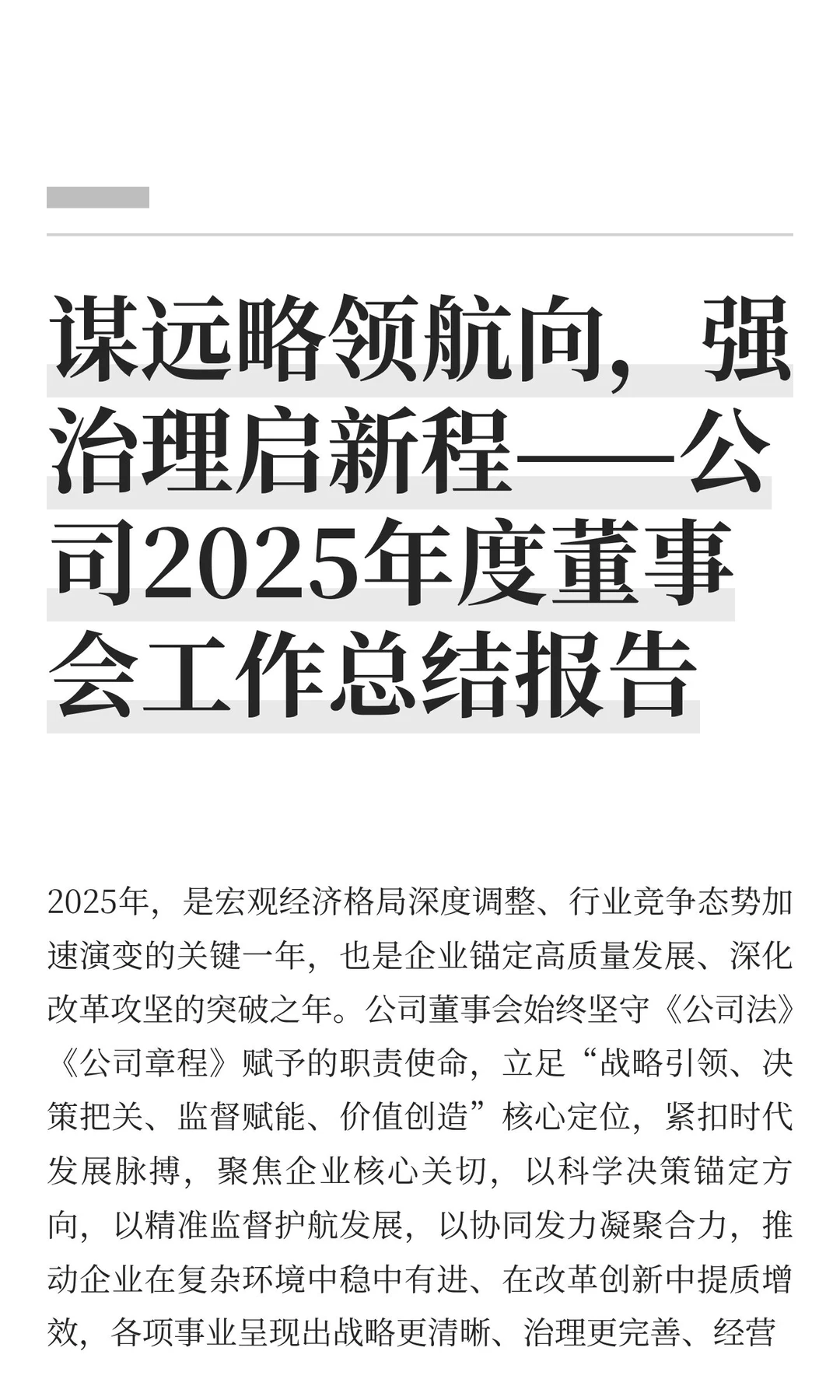 谋远略领航向，强治理启新程——公司2025年