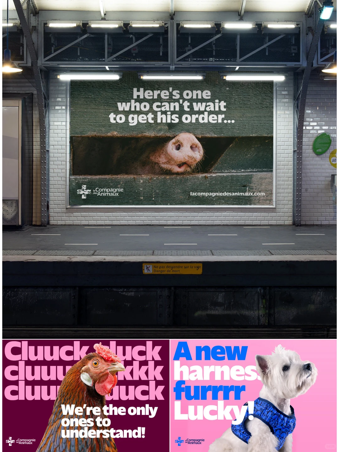 ?铲屎官救星！这家国外宠物医疗品牌绝了