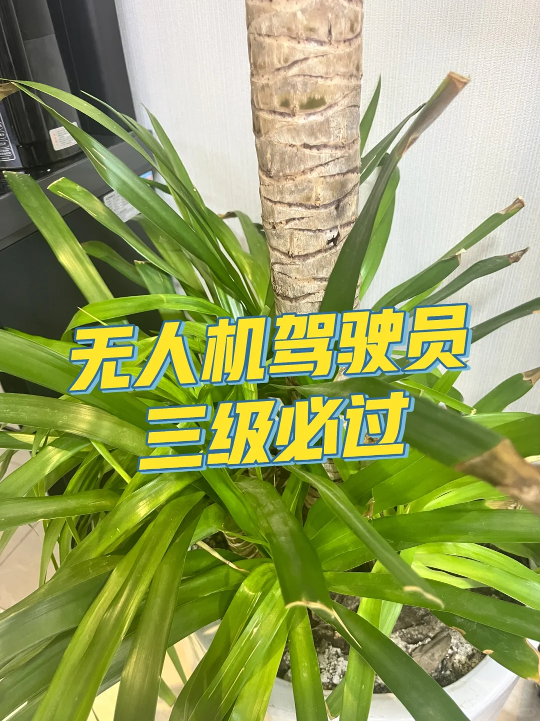 2025低空经济爆发!