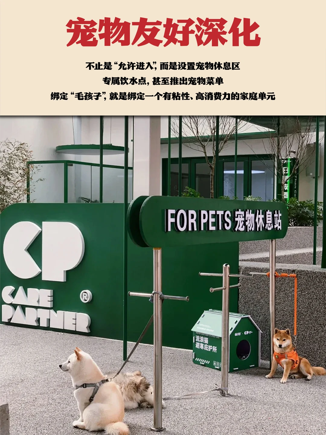 2026餐饮设计新趋势:未来餐饮风口洞察