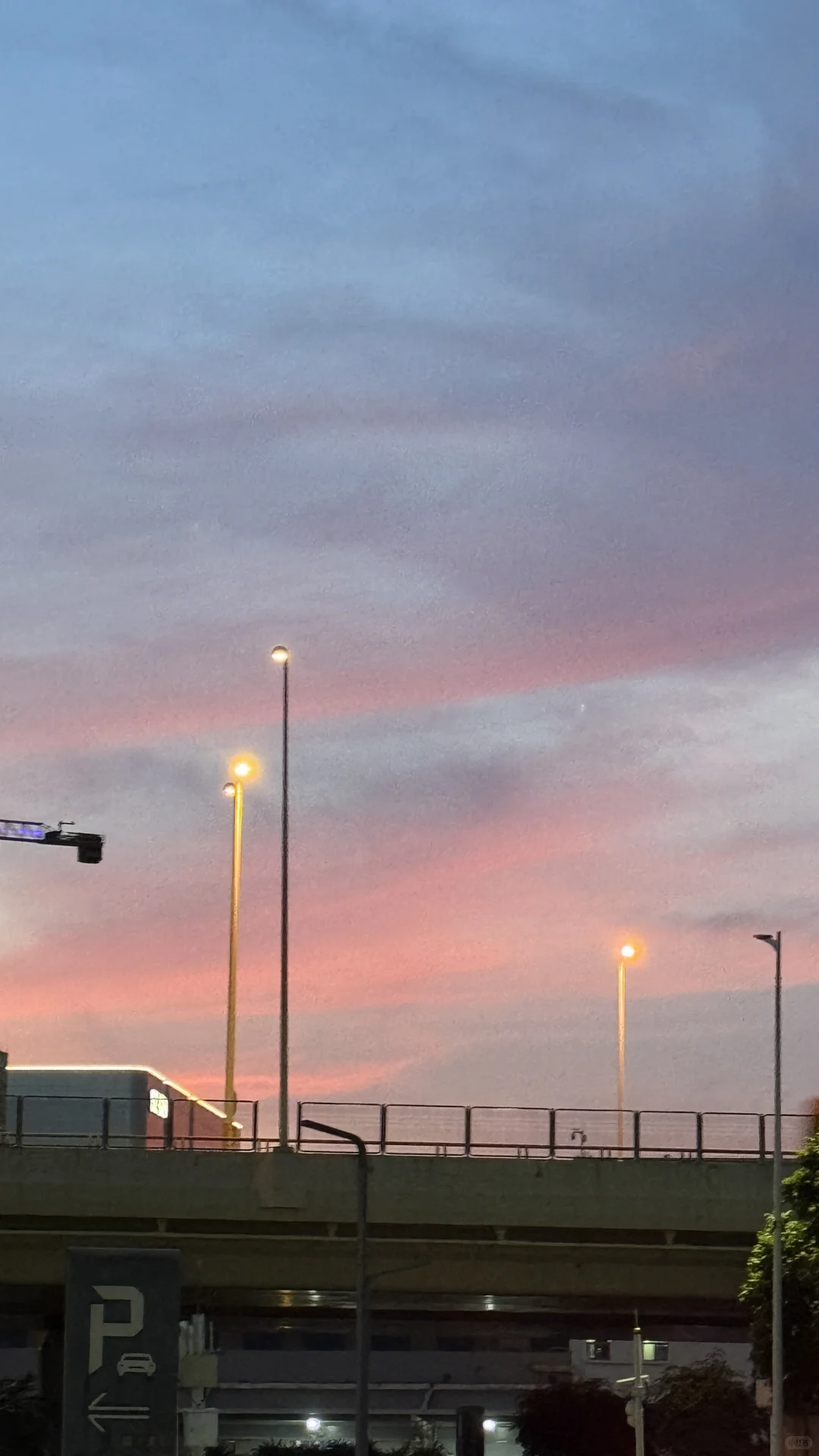 在知识付费公司发光：获客文化治愈我的职场