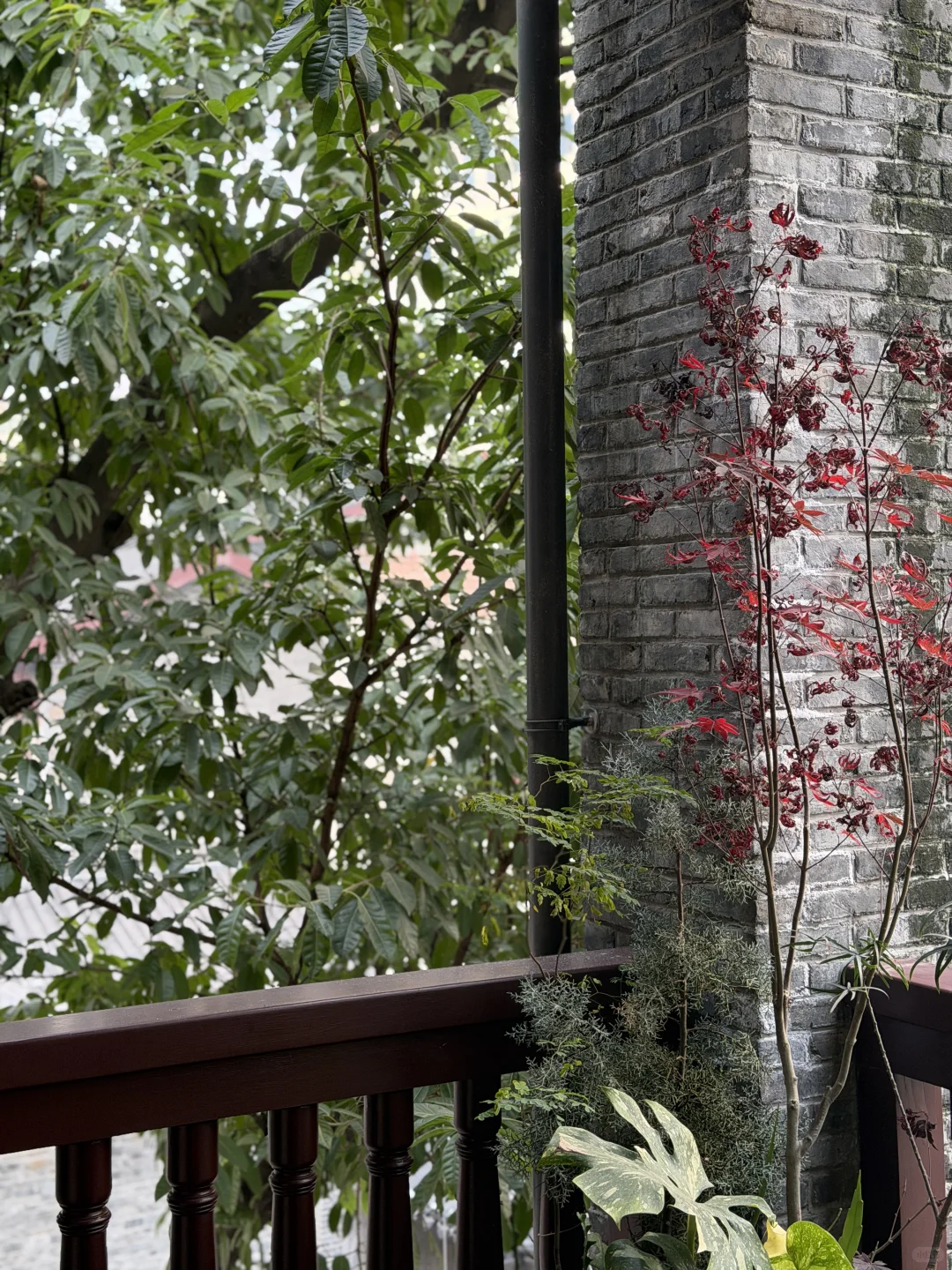 藏在鲁祖庙的“时空胶囊”：一杯精酿，一桌江湖