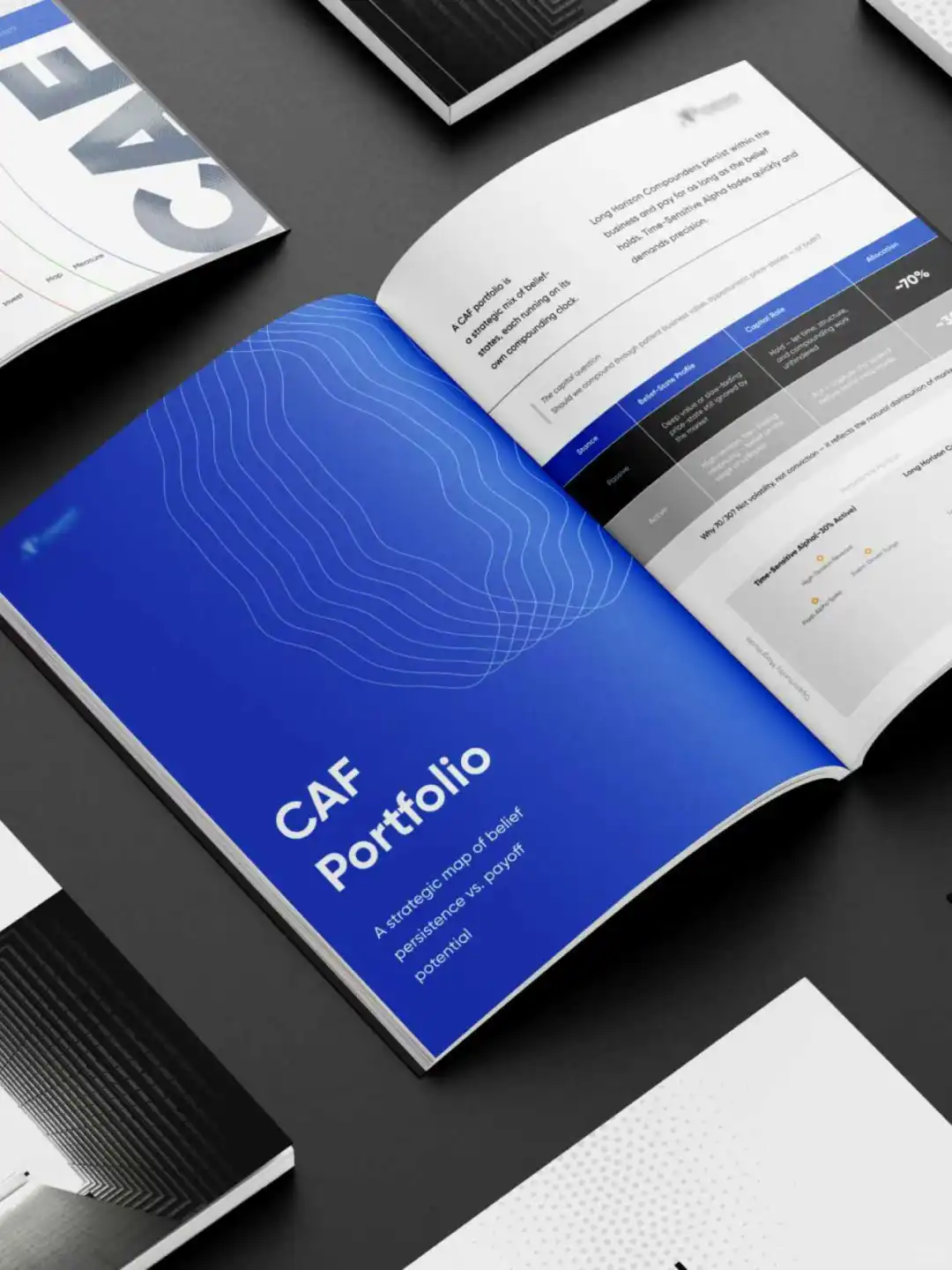 咨询公司画册设计，客户说预算够要高级