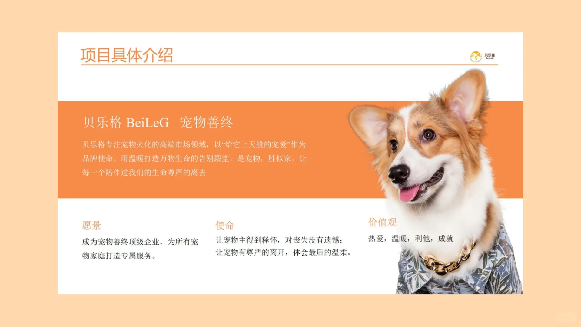 一个宠物行业创业项目计划书～