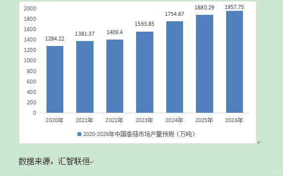 香菇行业市场研究与发展前景预测报告