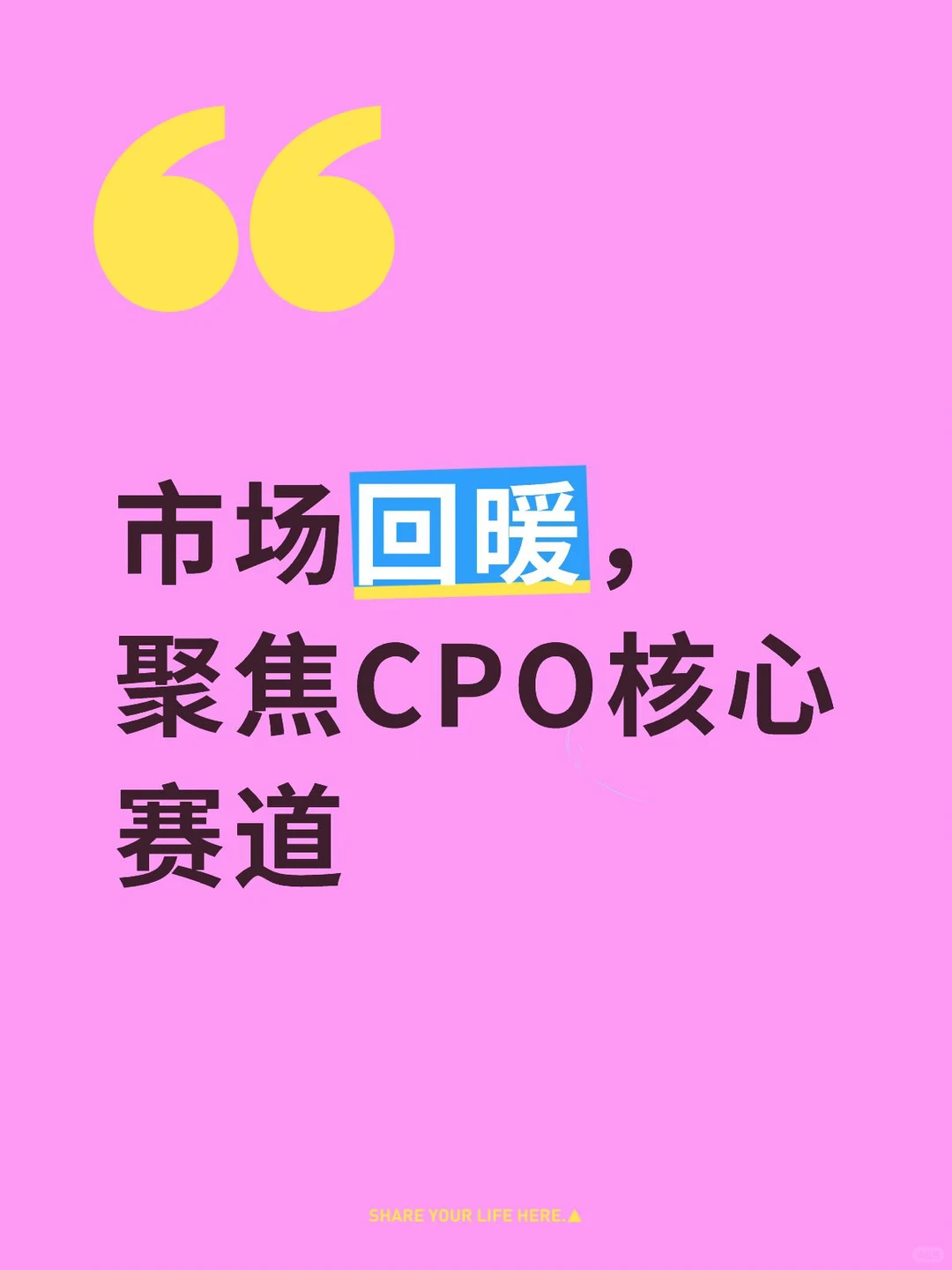 市场回暖,聚焦CPO核心赛道
