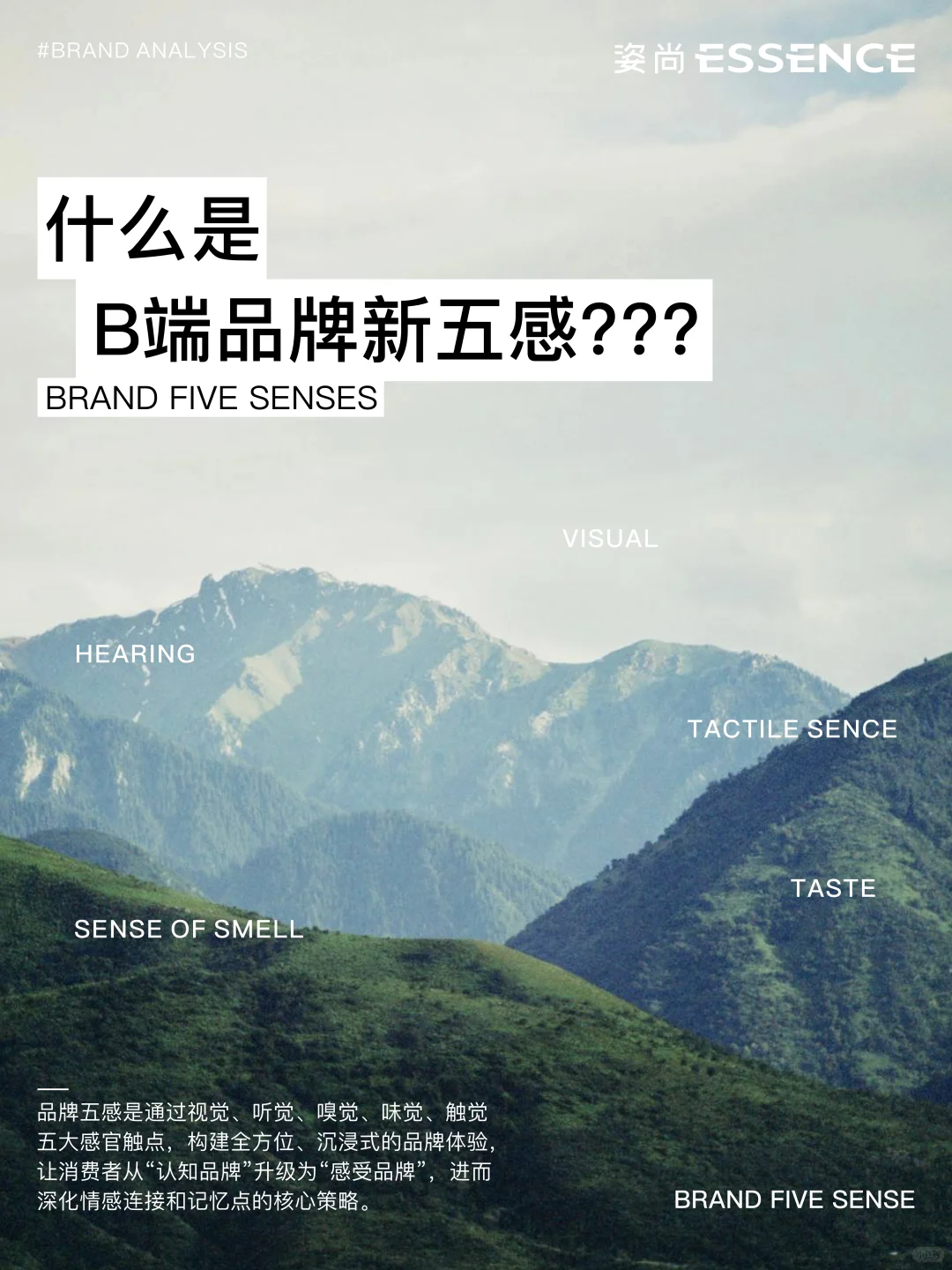 B端品牌的“五感运营指南”你都了解吗