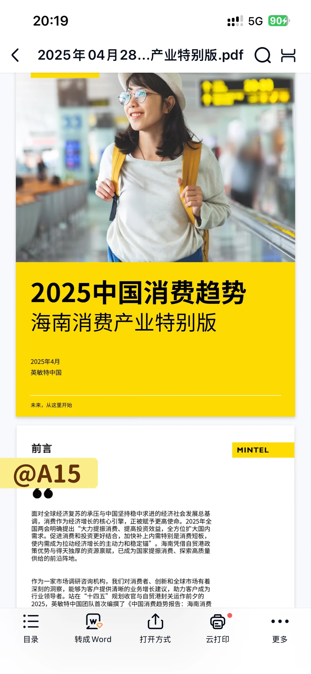 2025年中国消费趋势海南消费产业特别版