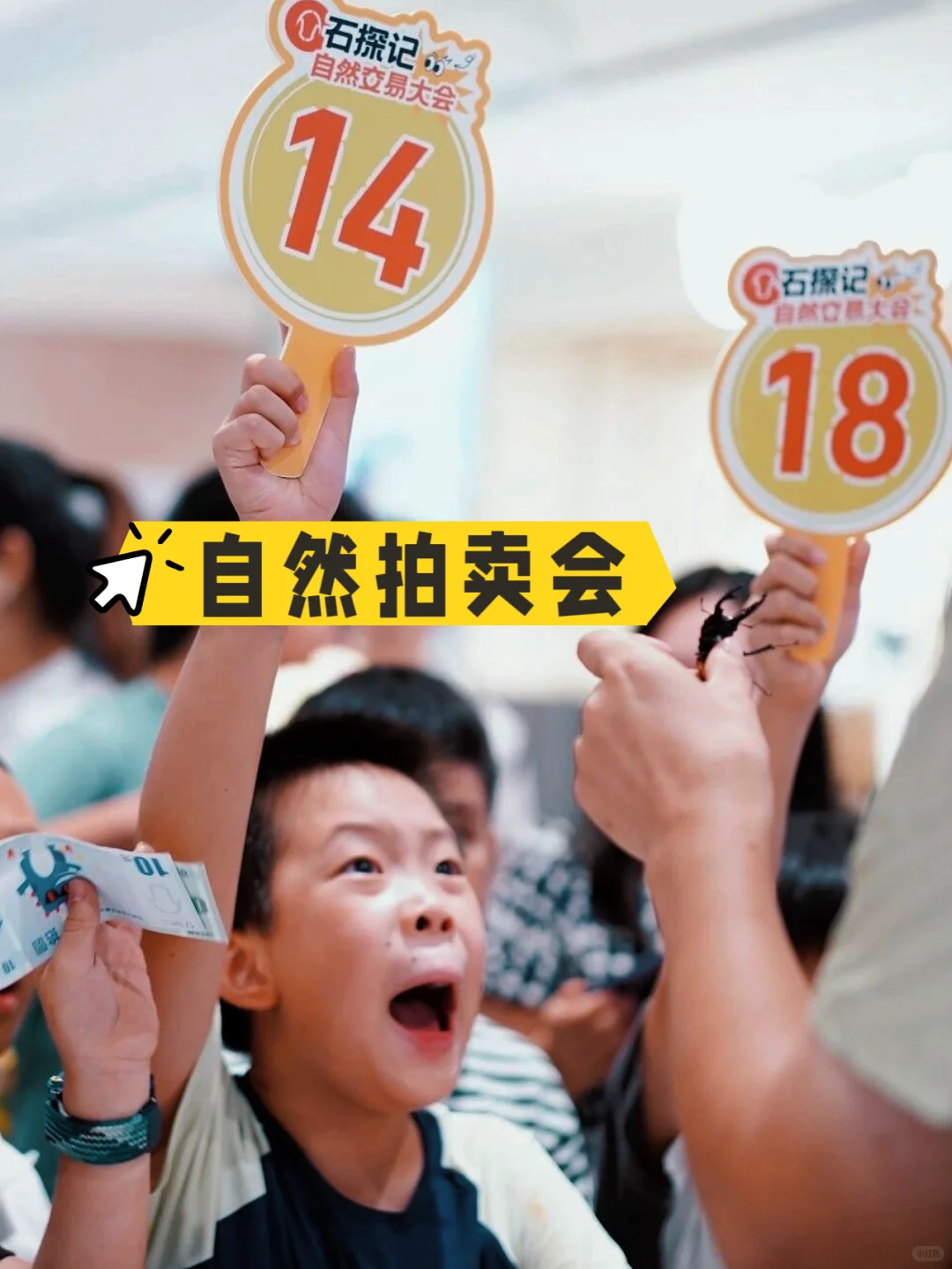 北京遛娃｜昆虫迷市集这不就来了！